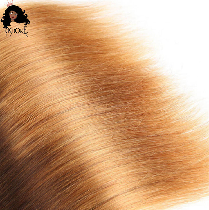 1b 4 27 straight ombre hair bundles