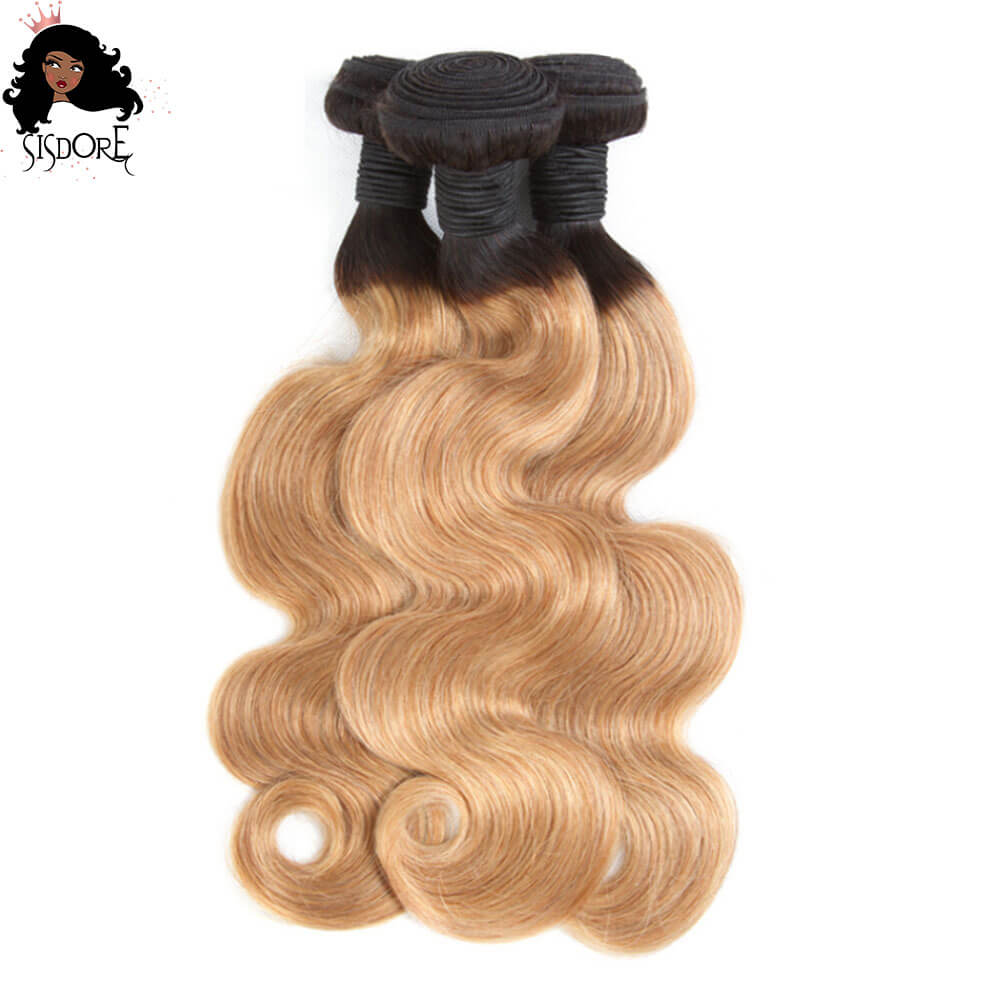 Honey Blonde Ombre Body Wave Hair Bundles 1b 27
