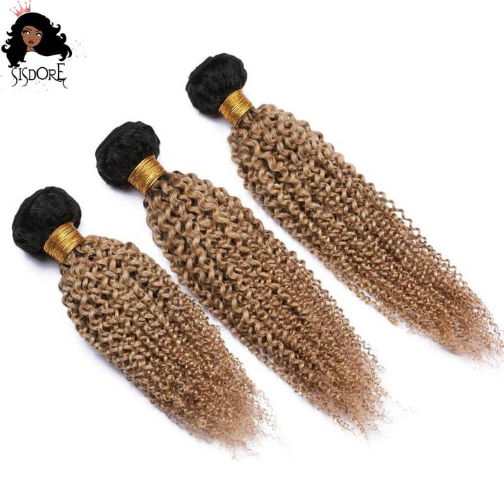 Kinky Curly Bundles 1B 27 Honey Blonde with Black Roots Two Tone Ombre Colored Human Hair Weaves