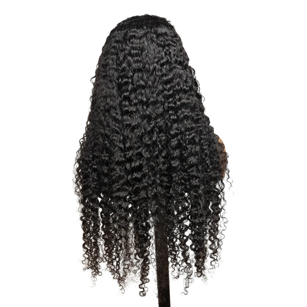 Burmese curly HD lace 360 wig human hair