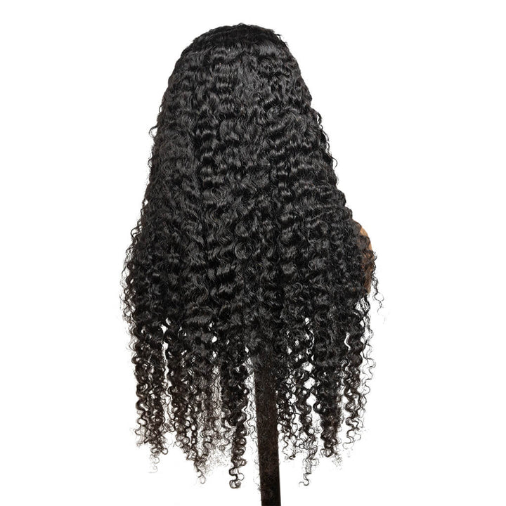 Burmese curly HD lace 360 wig human hair